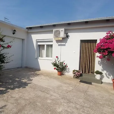 Pipi * פאקוסטאן