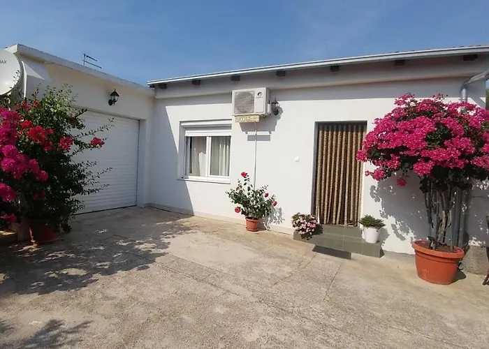 Pipi * פאקוסטאן