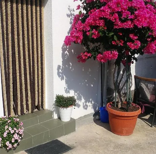 Pipi Апартаменты *