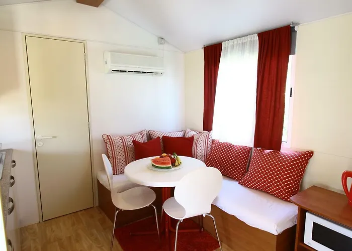 Pipi * פאקוסטאן