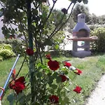 Pipi פאקוסטאן