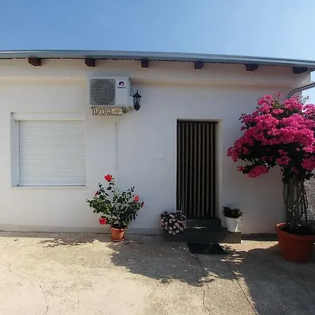 Apartment Pipi *