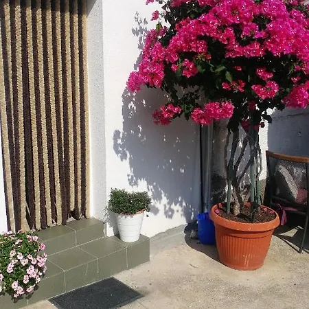 Pipi Apartment *