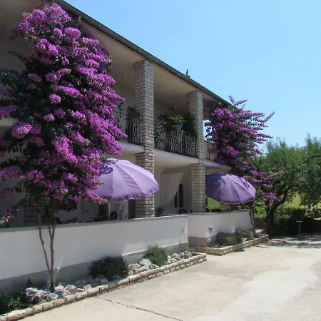 Pipi Apartment *