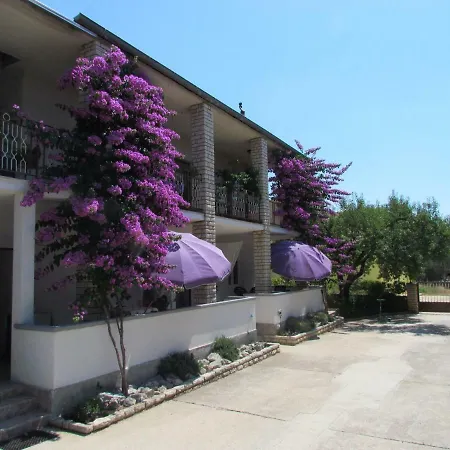 Pipi Apartment *
