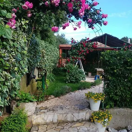 Pipi Apartment